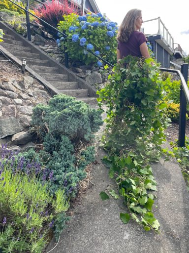 Long skirt of hedge trimmings