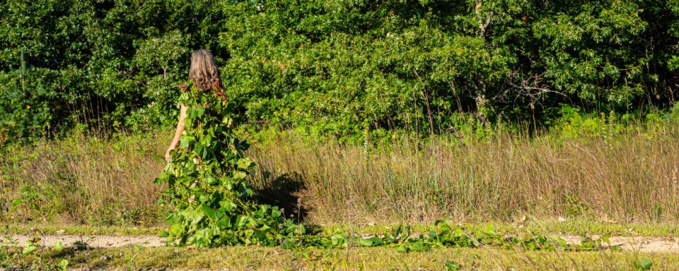 Gown of real grapevine